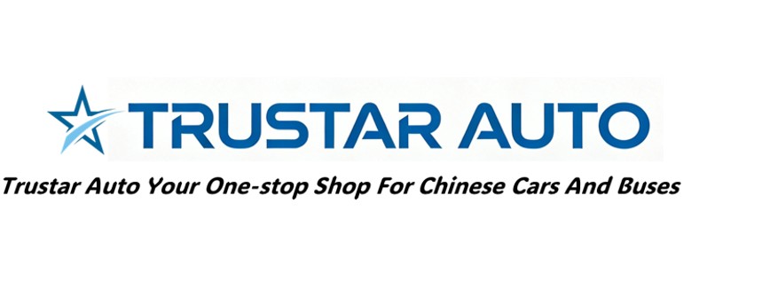 China Auto Parts Wholesale | High Quality Supplier-Trustar Auto Parts