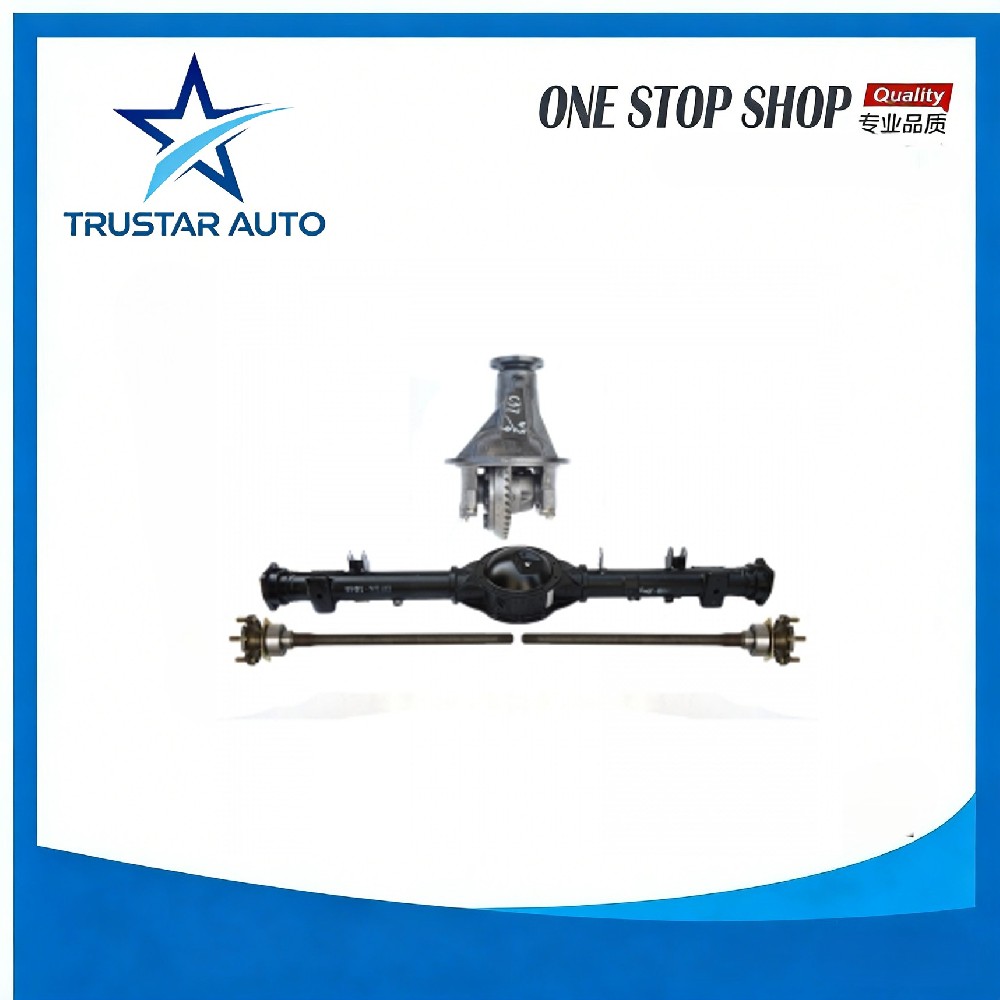 Rear Axle Assembly Differential