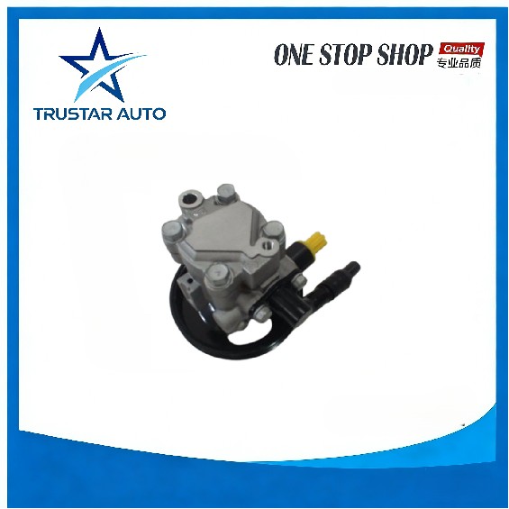 Power steering pump assy 3407100-S16 for GREAT WALL