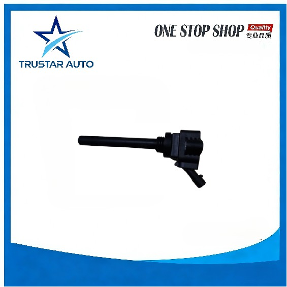Ignition coil 2036012900 for GEELY Okavango